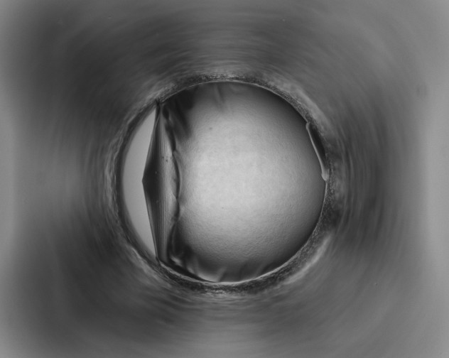 X0000086900585200705141644