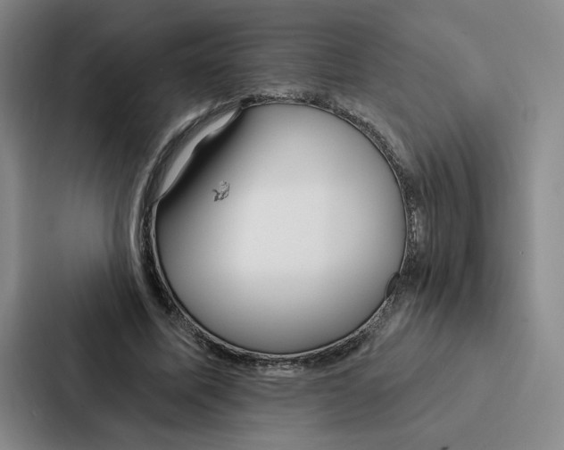 X0000086900587200705141644