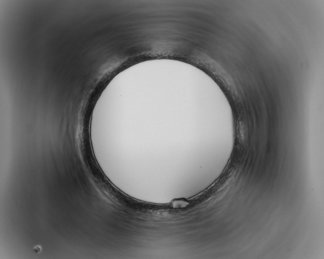 X0000086900588200705141644