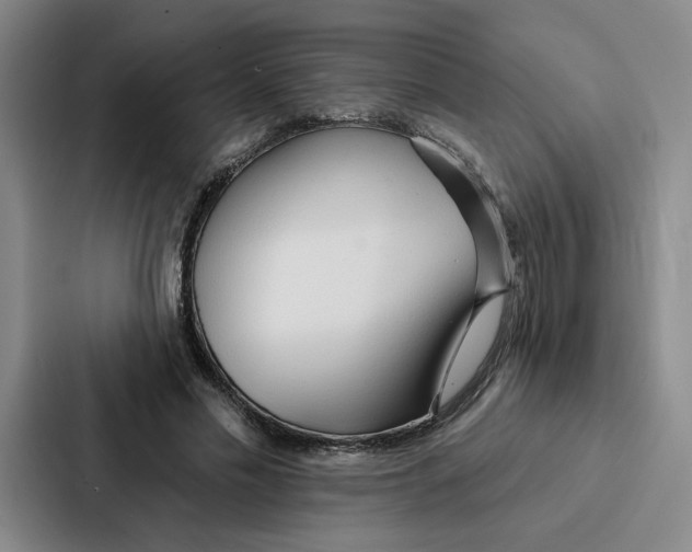 X0000086900589200705141644