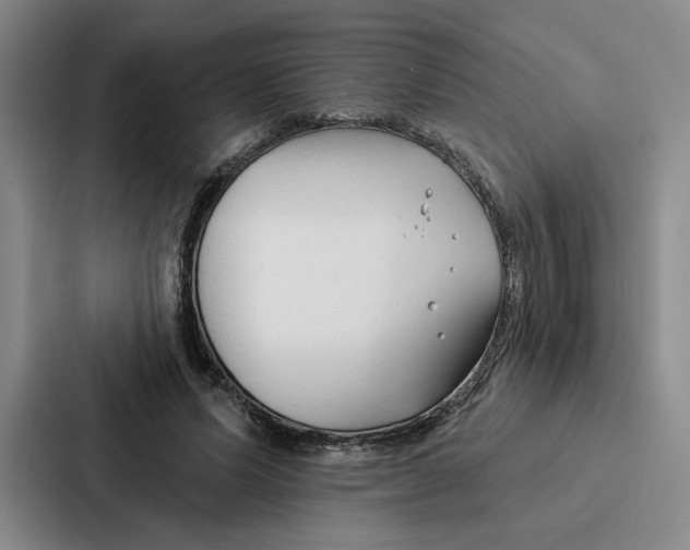 X0000086900591200705141644