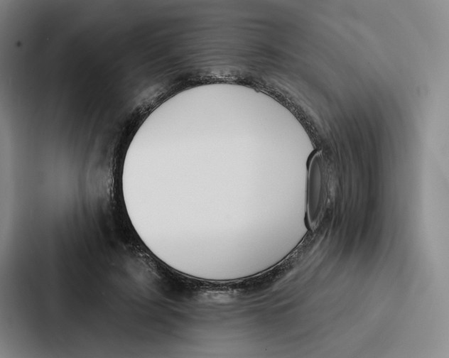 X0000086900595200705141644