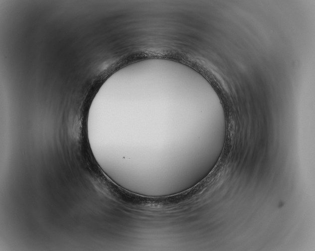 X0000086900596200705141644