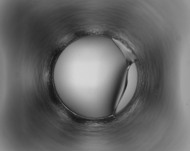 X0000086900597200705141644