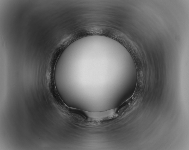 X0000086900600200705141644