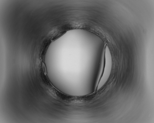 X0000086900601200705141644