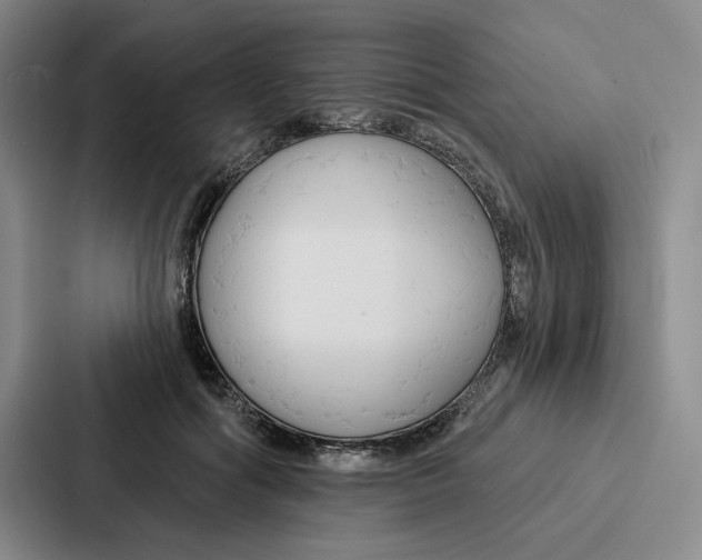 X0000086900602200705141644