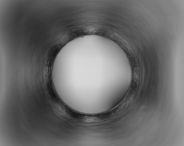 X0000086900605200705141644