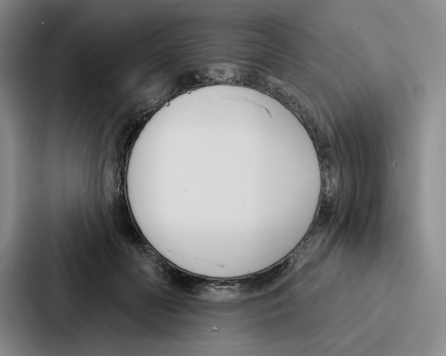 X0000086900606200705141644