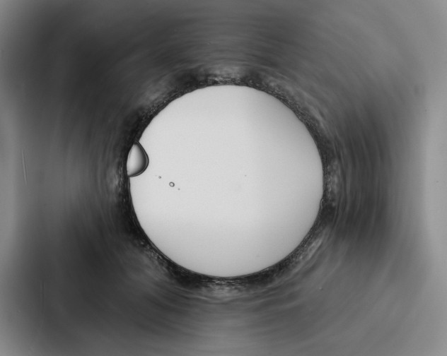 X0000086900608200705141644