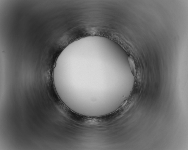 X0000086900611200705141644