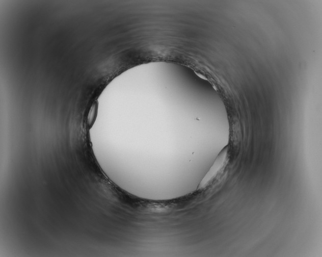 X0000086900613200705141644