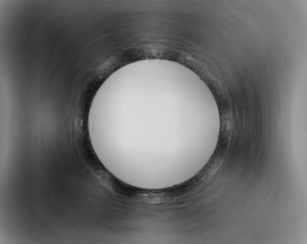 X0000086900615200705141644