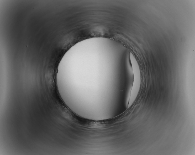 X0000086900616200705141644