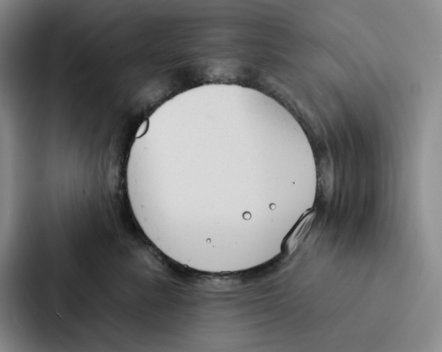 X0000086900619200705141644