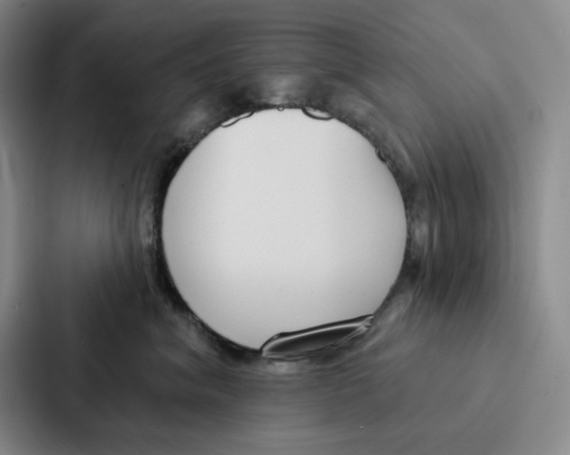 X0000086900620200705141644