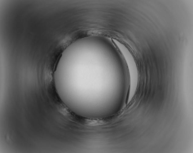 X0000086900621200705141644