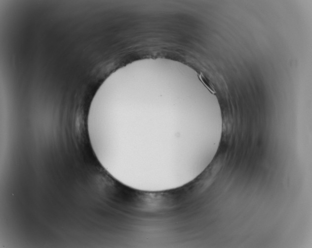 X0000086900623200705141644