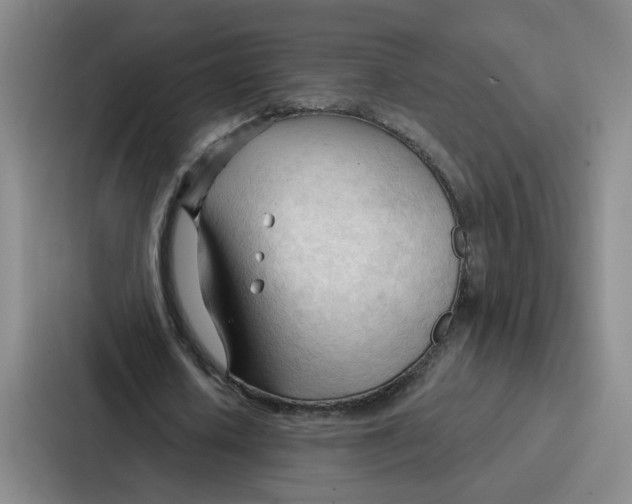 X0000086900626200705141643