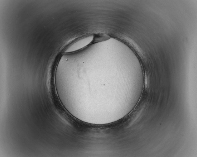 X0000086900627200705141643