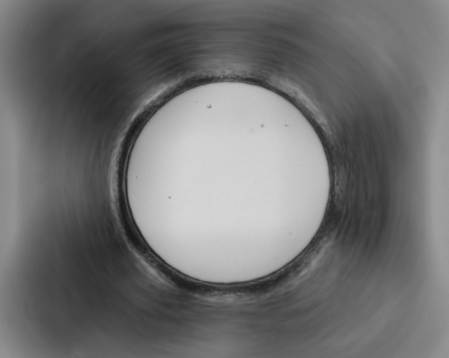 X0000086900629200705141643