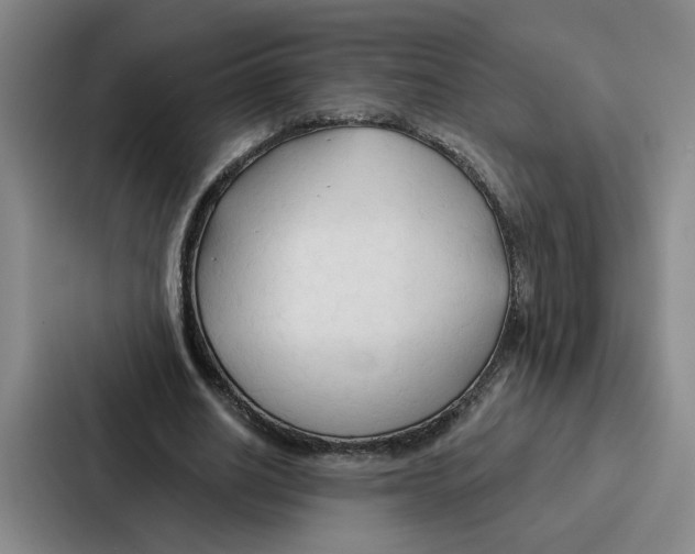 X0000086900630200705141643