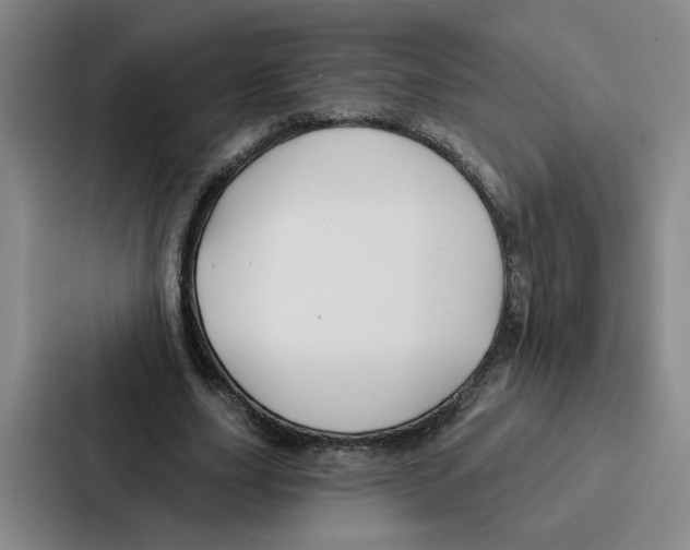 X0000086900631200705141643