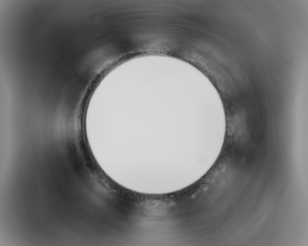 X0000086900632200705141643