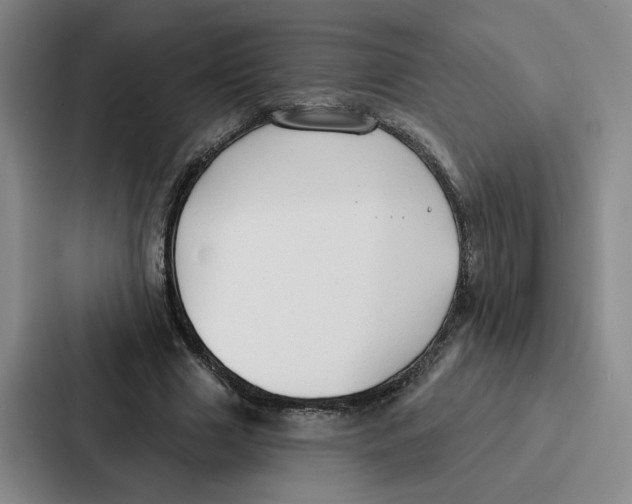 X0000086900633200705141643