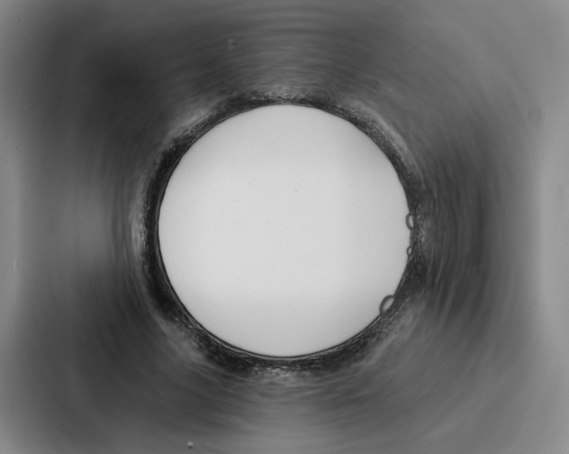 X0000086900635200705141643