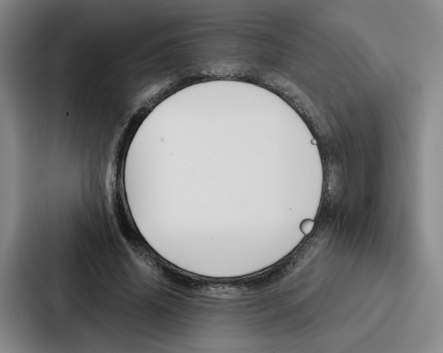 X0000086900636200705141643