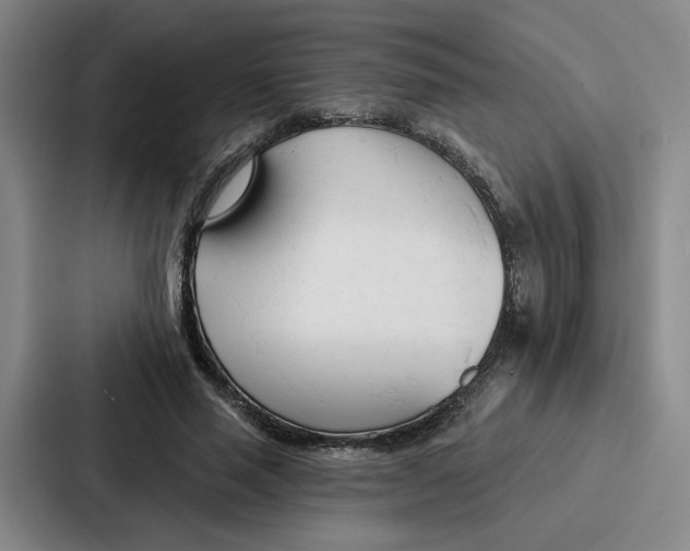 X0000086900637200705141643