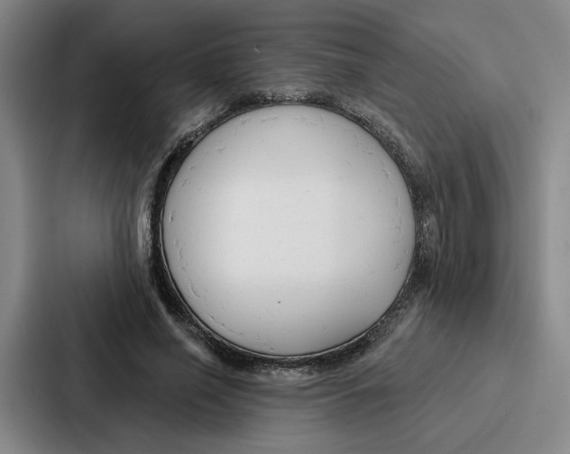 X0000086900638200705141643