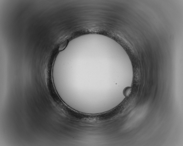 X0000086900639200705141643