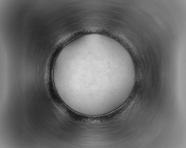 X0000086900640200705141643