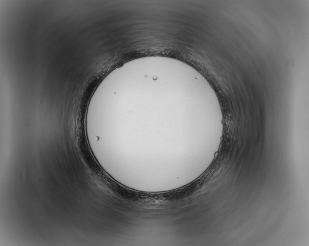 X0000086900642200705141643