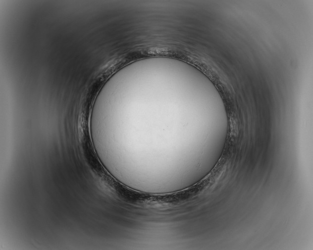 X0000086900648200705141643