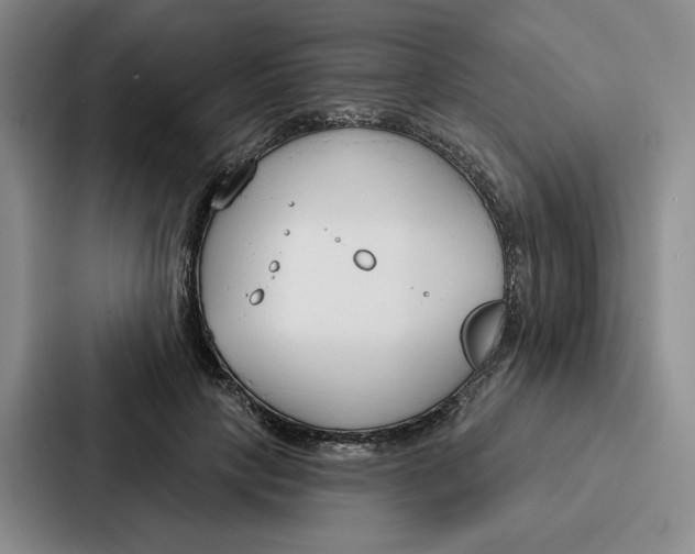 X0000086900649200705141643