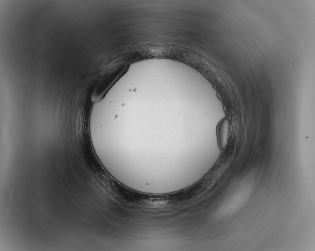 X0000086900651200705141643