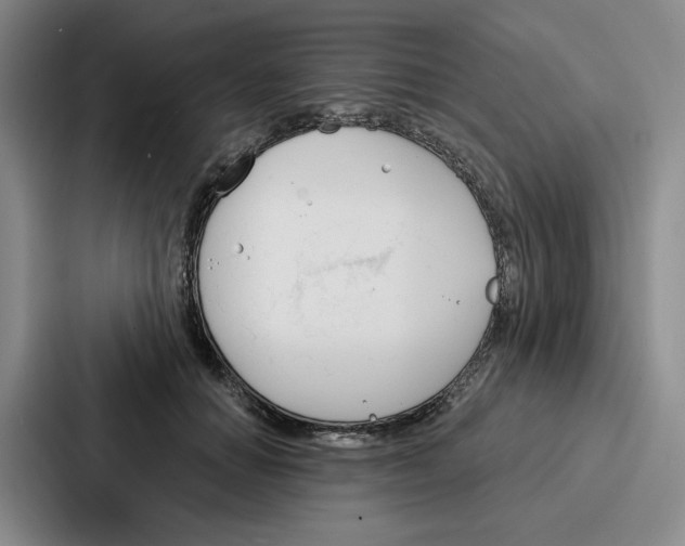 X0000086900654200705141643