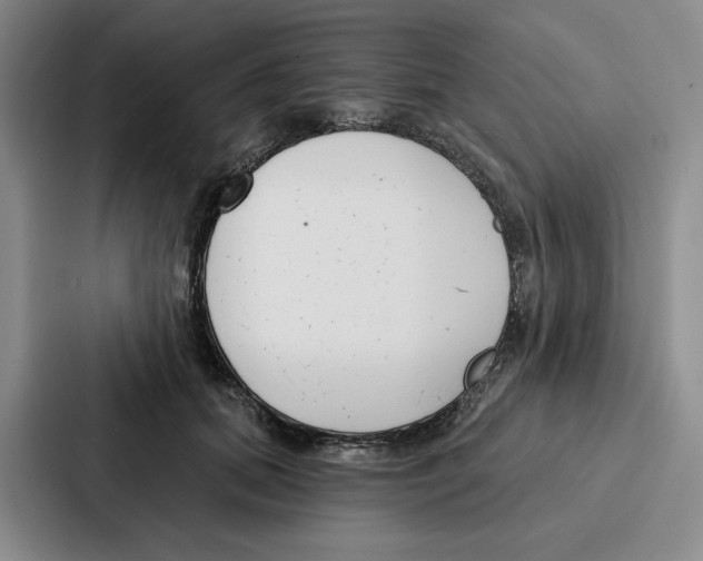 X0000086900655200705141643