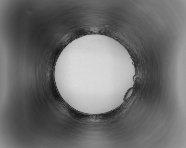 X0000086900656200705141643