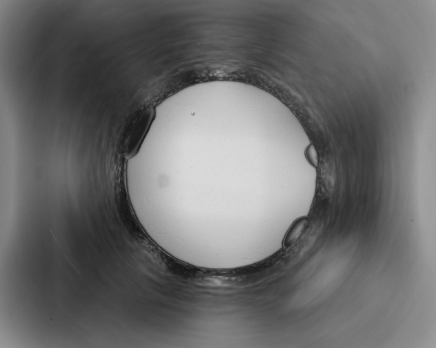 X0000086900657200705141643