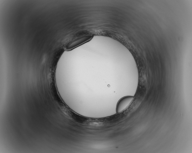 X0000086900658200705141643