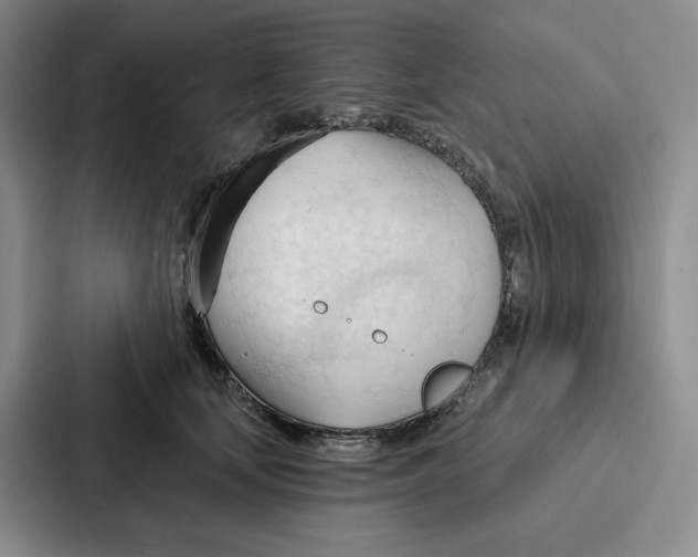 X0000086900659200705141643