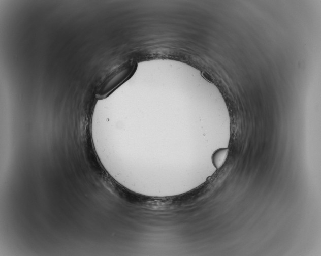 X0000086900660200705141643