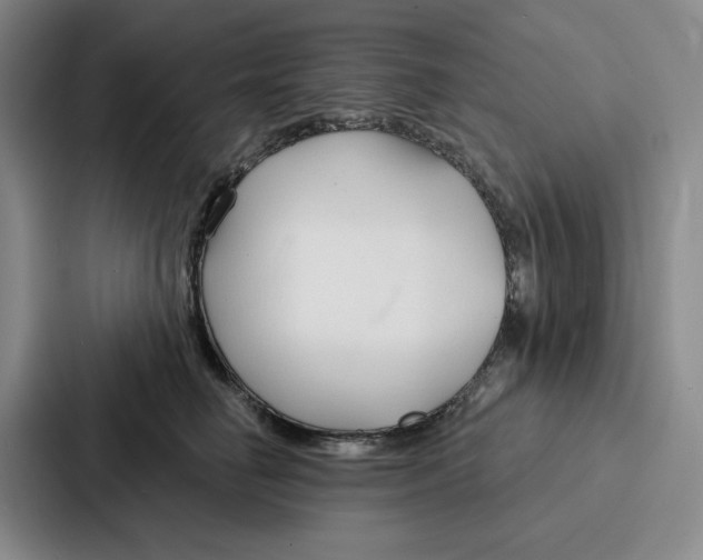 X0000086900662200705141643