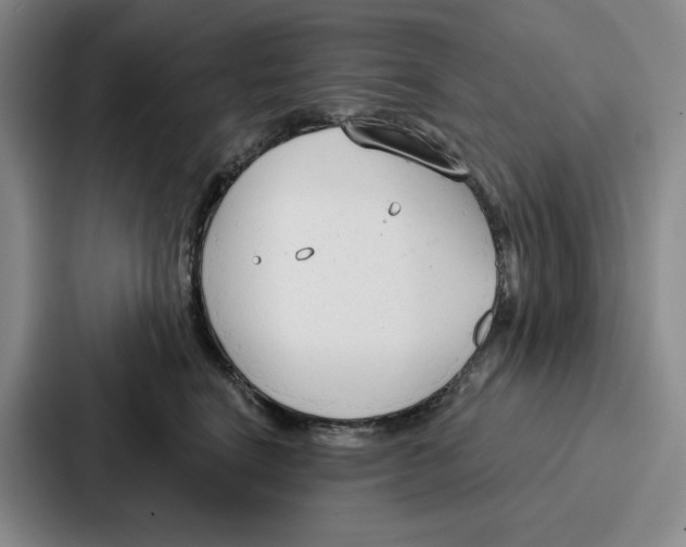 X0000086900664200705141643