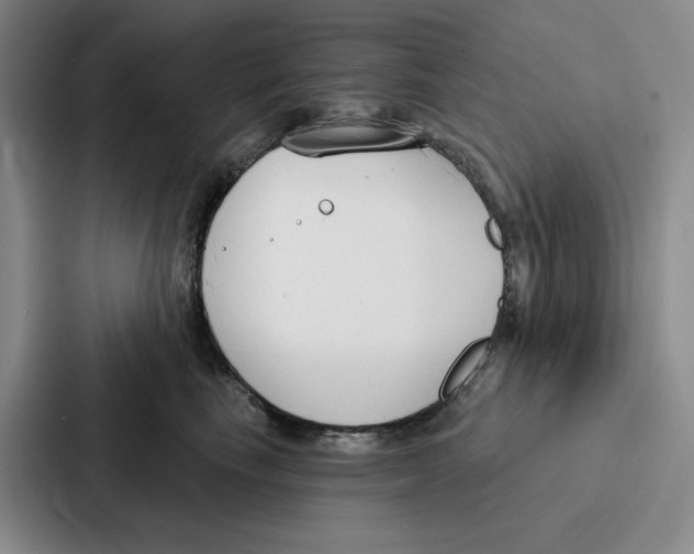 X0000086900665200705141643