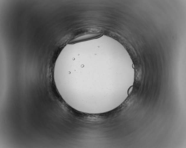 X0000086900666200705141643